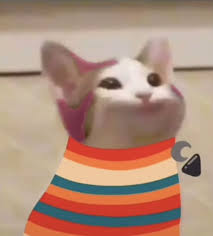 Check spelling or type a new query. 24 Dreamsmp As Popcat Ideas In 2021 Pop Cat Dream Team Dream Art
