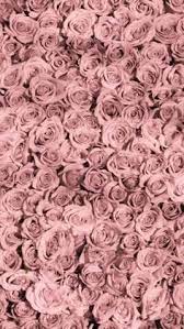 Open the photos, wait a second and then screenshot it requests are open. Cute Tumblr Rose Gold Pink Wallpaper Novocom Top