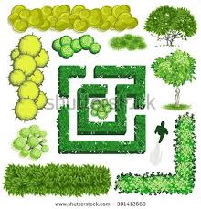 Trees And Bush Item Top View For Landscape Design Vector Icon Landscape Design Drawings Landscape Architecture Graphics Landscape Design