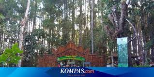 Tempat dan tanggal penyusunan proposal. Ini Hutan Pinus Bantul Yang Disebut Presiden Jokowi Instagramable Halaman All Kompas Com