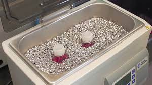 Maybe you would like to learn more about one of these? Cell Culture Cell Culture Basics Youtube