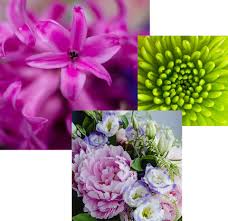 Garten online shop bei norma24. Gartencenter Und Blumenladen In Ingolstadt 1a Garten Zitzelsberger