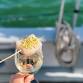 NEW! Sunset Wine & Raw Bar Sail — Wine Wise