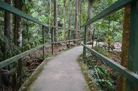 • 13 km from bandar kangar. Recreational Forest Review Of Hutan Lipur Sungai Bantang Bekok Malaysia Tripadvisor