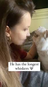 #persiancats #persiancatsofinstagram #persiancatlovers #persiancatstagram  #persiancat #catlover #crazycatmom #crazycatladyclub