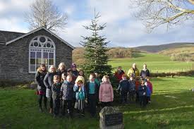 Pennal nature project begins with Christmas tree installation