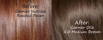 Garnier Olia Haircolor Review Socialcafe Magazine Haar Kleuren Haar Kleuren