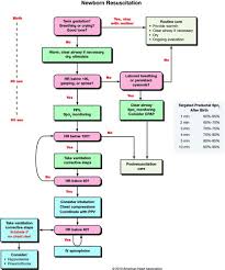 part 15 neonatal resuscitation circulation