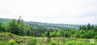 Pour la 1re fois, des. La Haute Ardenne La Nature Avant Tout