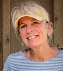 Wild Seeing: A raccoon tale, and safeguarding wildlife