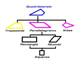 Types Of Quadrilaterals Lessons Tes Teach