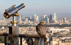 Maybe you would like to learn more about one of these? Programme Tv Aladdin Avengers Notre Selection Du Dimanche 22 Decembre Le Parisien