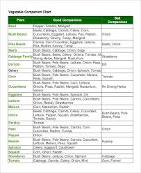 companion planting chart 9 free excel pdf documents