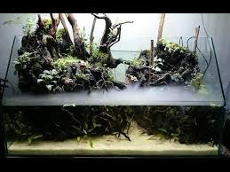 Paludarium Tropical River Akuarium Taman Kolam