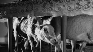 Historically, the powerful have used these gatherings to. Dinner Party Bunuel Dinner Party Animals