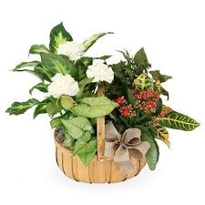 We have your fresh flowers, indoor plants and gourmet gift baskets. James Haudenshield Rogers Arkansas Benton County Funeral Home Memories Wall