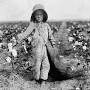 Profile Picture of 5-year-old Harold Walker picks 20 to 25 pounds of cotton a day ... - Reddit (@reddit.com) on Google