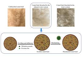However, the way these systems are controlled can have a significant impact on building energy efficiency and on occupant comfort and wellbeing. Polymers Free Full Text Protective Bleaching Of Camel Hair In A Neutral Ethanol Water System Html