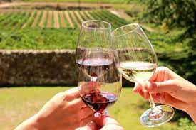 2024 Stellenbosch Half Day Wine Tour