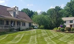 Different types of grass call for a different combination of nutrients. Shopping For Top Rated Lawn Fertilizers