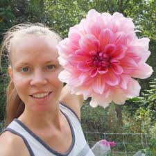 Large dahlia bloom identification