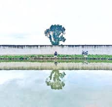 fishing alone 枫树霜叶净江烟独坐秋风钓石边清福此间殊不乏些儿闲事莫萦牵 shotoniphone iphonegraphic photooftheday iphonegraphy shanghai shanghailife shanghailife shanghaiist pud