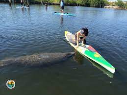 See tripadvisor's 134,632 traveler reviews and photos of st. Board Rental
