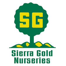 You can catch your favorite sporting event on one of our big screens or enjoy one of our signature. Sierra Gold Nurseries Home Facebook