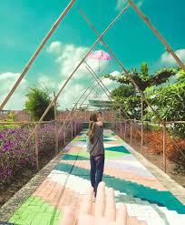 We did not find results for: Fasilitas Di Taman Cengkok Prambon Nganjuk Dan Harga Tiketnya Kata Omed