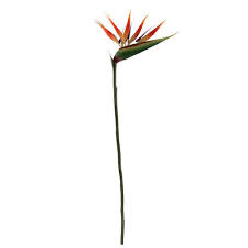Bird Of Paradise Florist Supplies Uk 65p 66cm Birds Of Paradise Birds Of Paradise Plant Birds Of Paradise Flower