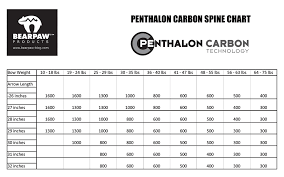 The Right Spine For Carbonshafts Feelthespirit