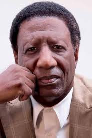 The Day Madear Voted: Hudson, Wade, Tate, Don: 9780593615744: Amazon.com:  Books