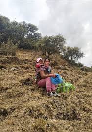 Image result for Eulalia aurea