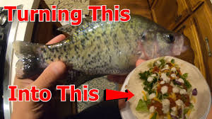 Check spelling or type a new query. Crappie Fish Tacos Catch Clean Cook Amazing Youtube