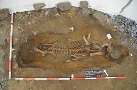 Archeologický výzkum v Jablonném — odkaz pro další generace | Aktuality |  Liberecký kraj