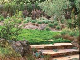 Also, plan to check out all of the products that are recommended here at try backyard farming, sorted into categories. Eco Friendly Lawn Alternatives Garden Design