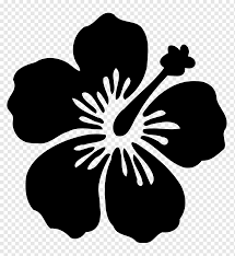 Lukisan botani mengungkap mesra paduan kajian botani dan. Siluet Bunga Sepatu Kembang Sepatu Hawaii Bunga Hawaii Hewan Monokrom Bebas Royalti Png Pngwing