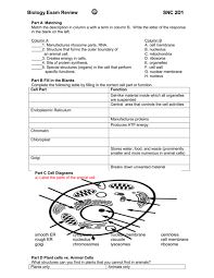 We did not find results for: Grade 10 Biology Review
