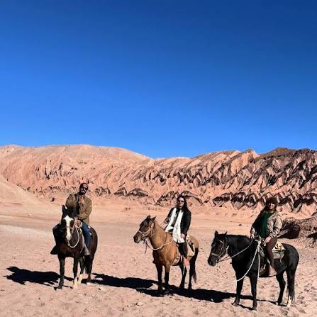 Wüste, Dschungel, Meer und Berge: Neuanfang in Chile Chile ist ein Land,  das so vielfältig ist wie ein ganzer Kontinent: Von der Atacama-Wüste im  Norden über Dschungel, Berge und Vulkane bis hin