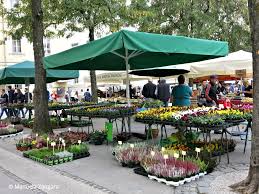 Central market provided me with floral arrangements better than i could have dreamed up at a price point that felt right. Ljubljana Slovenia Guide