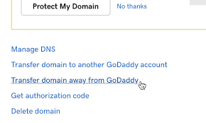 How To Transfer A Domain Name From Godaddy To 34sp Com Knowledge Base