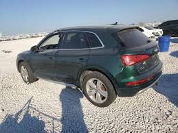 Image result for Azorean Green 2018 Q5