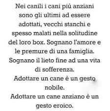 Abbandonare gli anziani è peccato mortale, perché non sono scarti. Poesie Sugli Anziani