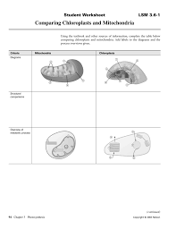 The cell wall, chloroplasts and vacuole are found in plant cell rather than animal cells. Comparing Chloroplasts And Mitochondria