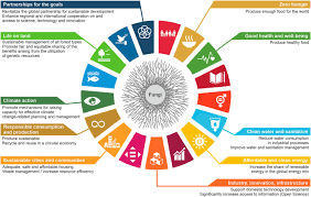 Zhou pingle, ceo of hangzhou hygen health biotechnology co., ltd., reviewed the . Growing A Circular Economy With Fungal Biotechnology A White Paper Fungal Biology And Biotechnology Full Text