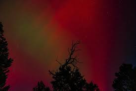 If you told me I would se northern lights in New Mexico and not when I was  in Alaska, I would've thought you were crazy. Here I am eating my own words