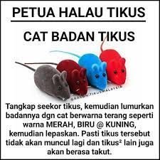 Sekarang i akan kongsi dengan anda 5 petua dan cara halau tikus yang boleh anda pakai untuk selesaikan masalah yang. Mhgm9isedhi4im