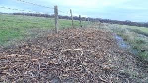 Ll meilleurs tailles haies testés : Entre Le 15 Mars Et Le 31 Juillet Il Est Interdit De Tailler Les Haies Nature D Ici Et D Ailleurs