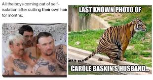 See actions taken by the people who manage and post content. 55 Hilarious Tiger King Memes We All Need Right Now