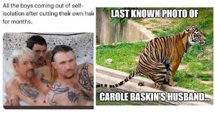 What's the difference between cardi b and carole baskin? 55 Hilarious Tiger King Memes We All Need Right Now